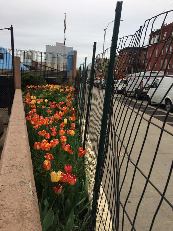 Vakb Apartments New York Eksteriør bilde